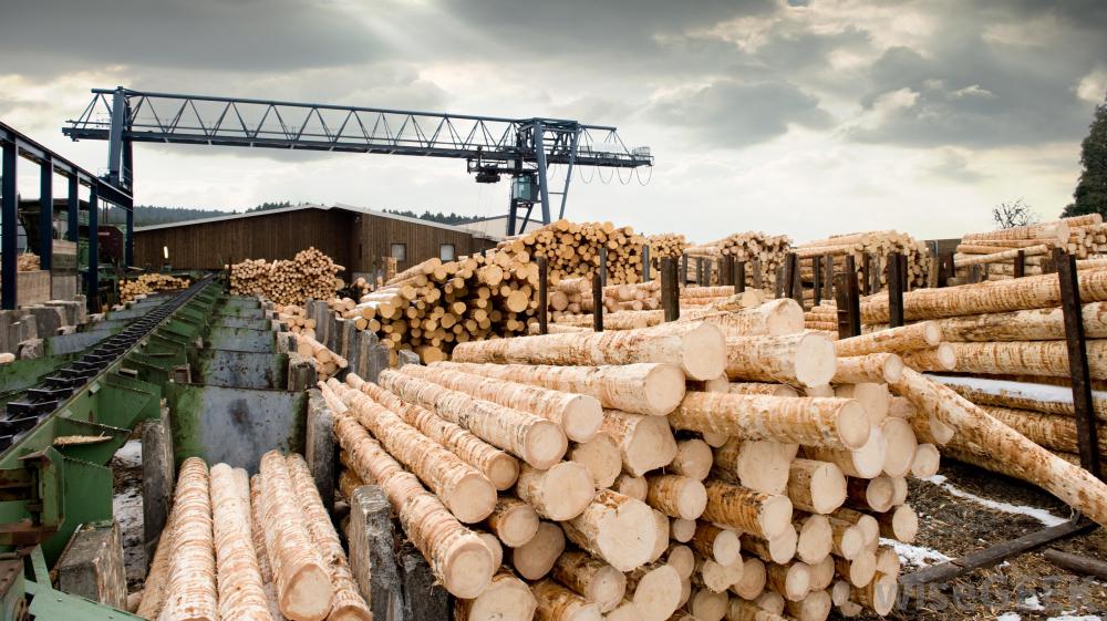 Lumber Company Meaning In English